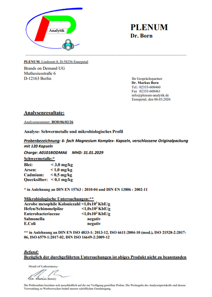 Magnesium 6x Komplex + B6 - 120 vegane Kapseln